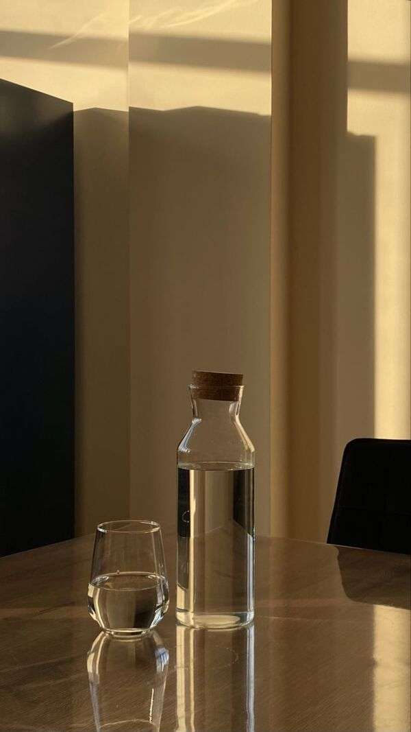 Reusable water bottle beside green leaves in natural light